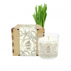 Meditation Candle in Box - Lemongrass Meditation Candle in Box - Lemongrass